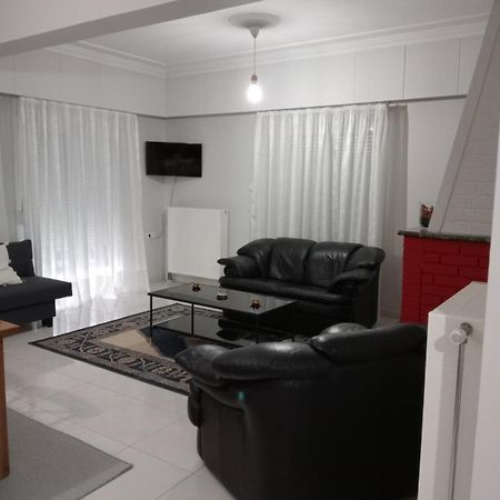 Spacious Apartment Anatoli Giannina Esterno foto